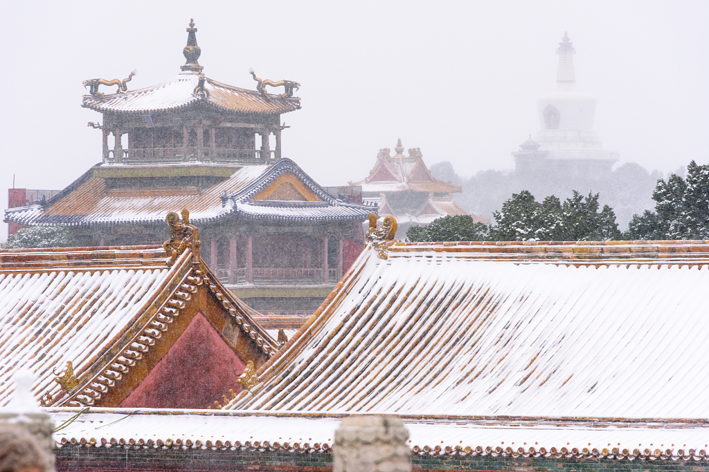 المناظر الثلجية للقصر الإمبراطوري ببكين