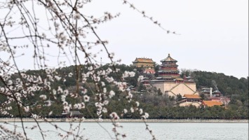 مشهد ربيعي في القصر الصيفي بالعاصمة الصينية