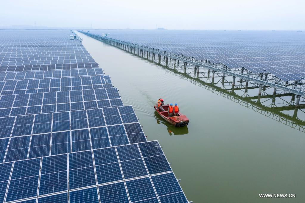 مزرعة أسماك بشرقي الصين تجمع بين تربية الأحياء المائية وتوليد الطاقة الكهروضوئية
