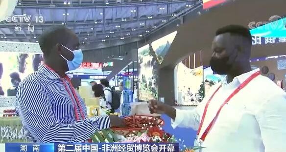 第2回中国・アフリカ経済貿易博覧会が開催＝湖南