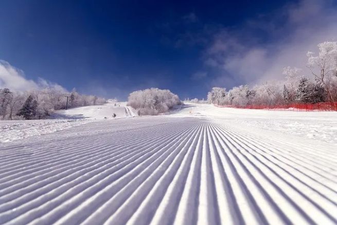 日本のスキー人口、20年で75%超減少北京冬季五輪により好転のチャンスを
