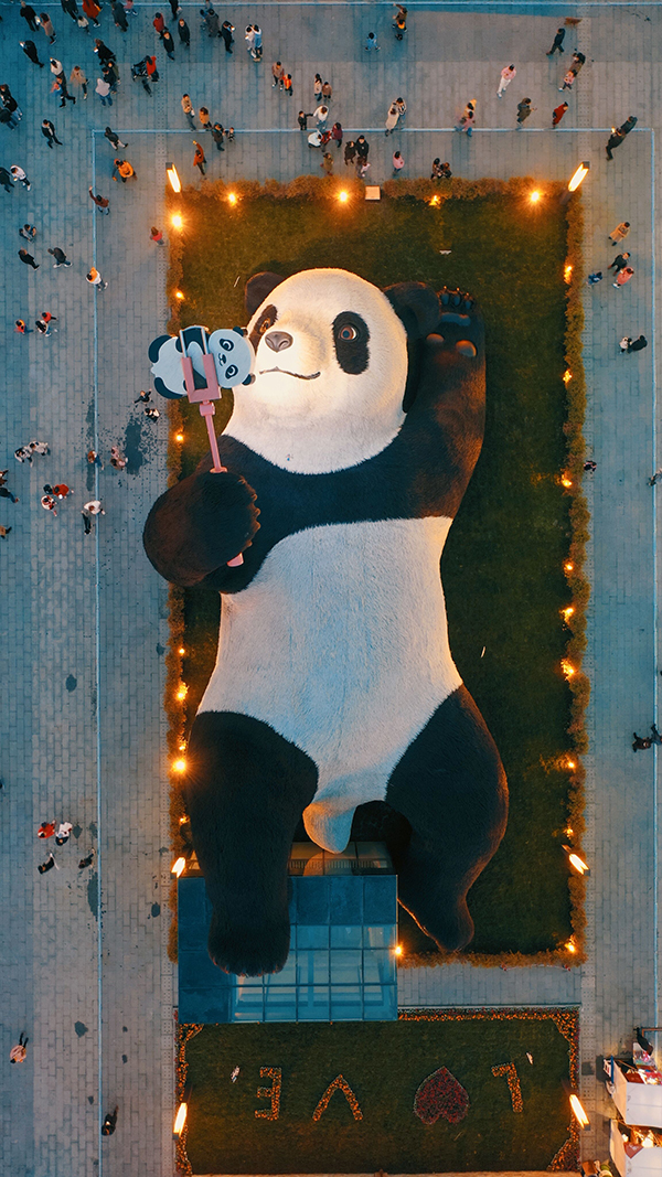 中国都江堰の「自撮りパンダ」が国際的な芸術賞を受賞