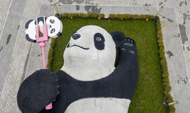 中国都江堰の「自撮りパンダ」が国際的な芸術賞を受賞