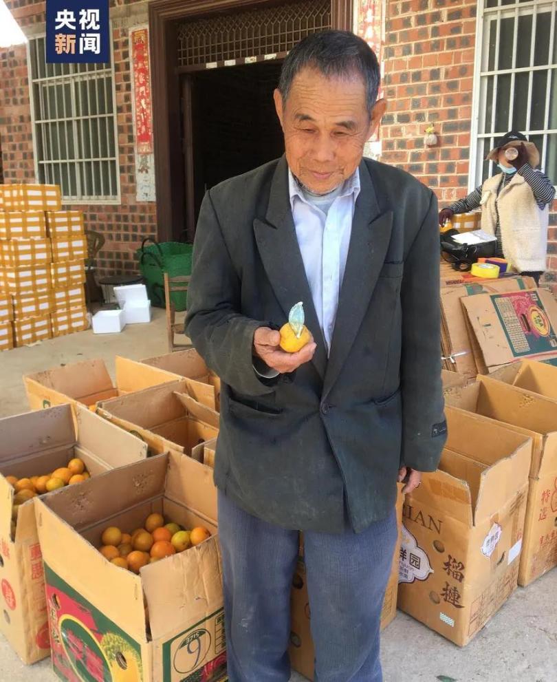 ชาวสวนส้มจีนส่ง“ผลเสีย”ให้ทำวิจัยฟรี ชาวบ้านรู้ข่าวช่วยซื้อผลดี