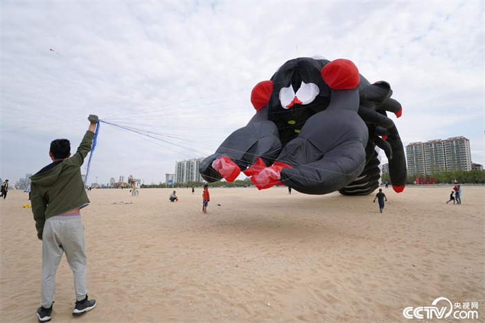 ว่าวแมงป่องทะเลขนาดยักษ์โผล่ตัวชายหาดเมืองเยียนไถ