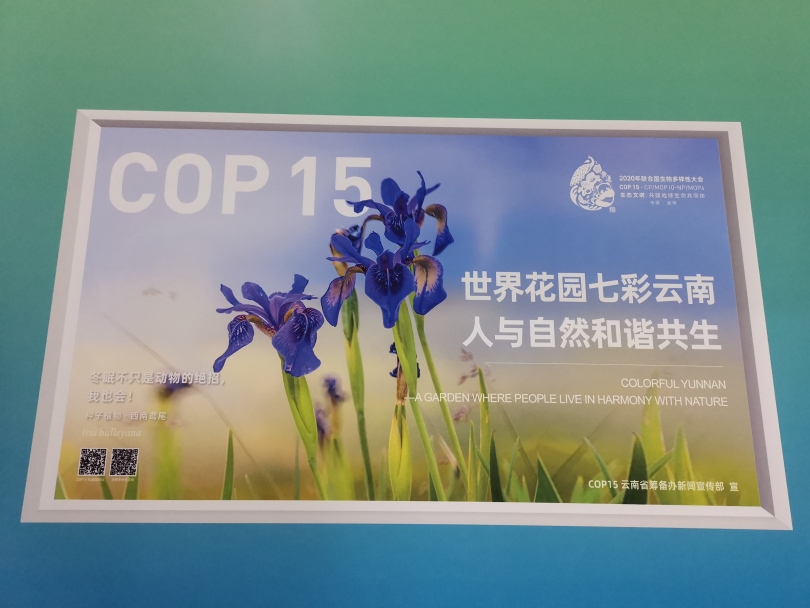 สัมผัสความหลากหลายของสิ่งมีชีวิตที่ศูนย์ข่าว COP15