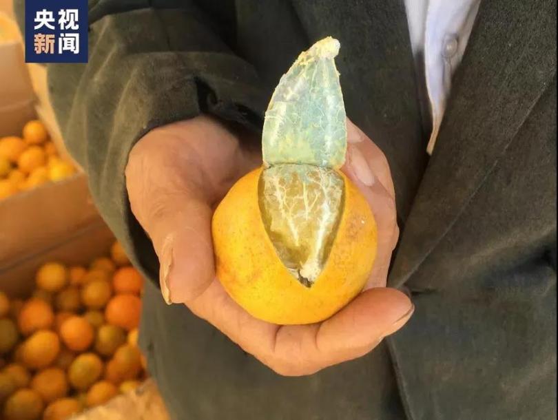 ชาวสวนส้มจีนส่ง“ผลเสีย”ให้ทำวิจัยฟรี ชาวบ้านรู้ข่าวช่วยซื้อผลดี