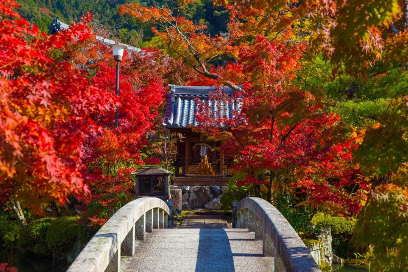 ฤดูใบไม้ร่วงของวัด Zenrin-Ji Temple ประเทศญี่ปุ่น