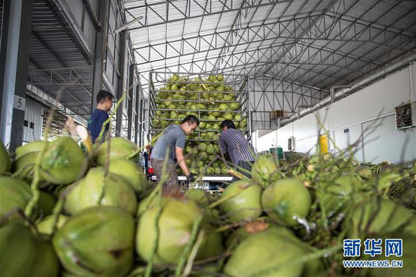 ‘หนึ่งแถบหนึ่งเส้นทาง’หนุนผลไม้ไทยขยายตลาดจีนและมุ่งสู่ทั่วโลก