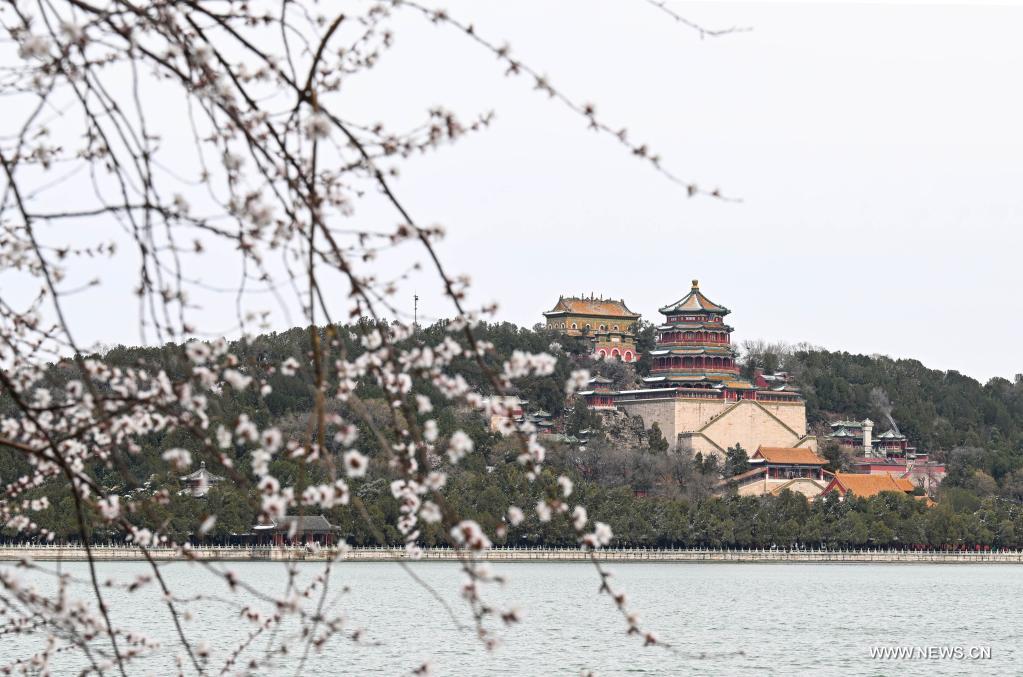 مشهد ربيعي في القصر الصيفي بالعاصمة الصينية