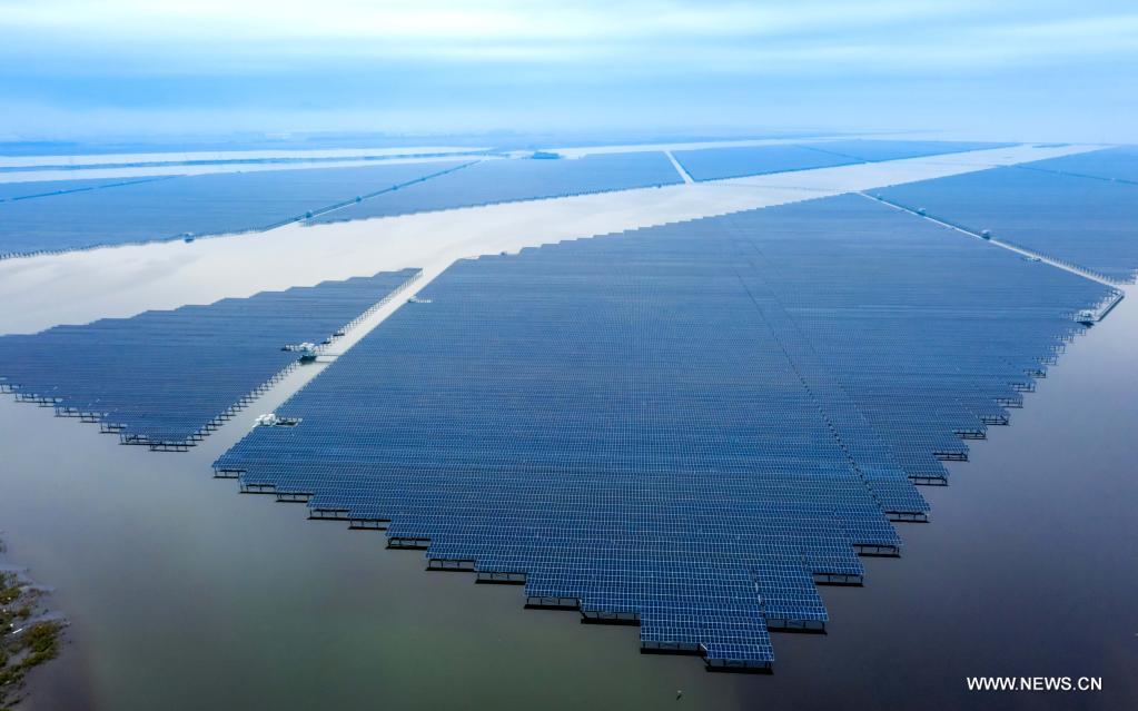 مزرعة أسماك بشرقي الصين تجمع بين تربية الأحياء المائية وتوليد الطاقة الكهروضوئية