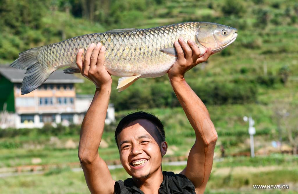 مهرجان صيد الأسماك للاحتفال بالحصاد في جنوب غربي الصين