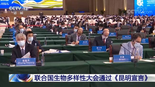 Kemenlu: “Deklarasi Kunming” Tunjukkan Tekad dan Tindakan Para Pihak untuk Mengatasi Masalah Hilangnya Keanekaragaman Hayati