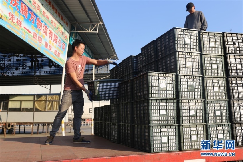 1.500 Jenis Produk Pertanian dan Makanan ASEAN Dapat Diekspor ke Tiongkok