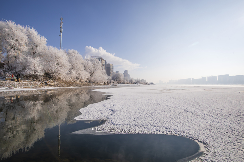 幻想的で美しい松花江河畔の霧氷　吉林省吉林市