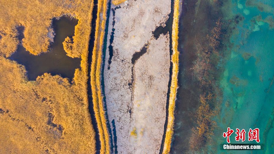 人々を魅了するボステン湖の秋景色　新疆