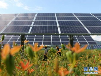 「農業・太陽光相互補完」産業パークが発展　河北省平泉市