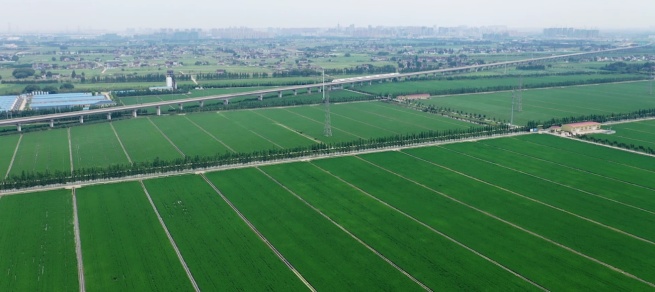 上海初のデジタル化無人農場、建設進む