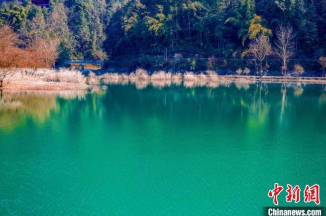 湖面から木が生えた独特な「水上樹林」の景色　湖北省利川