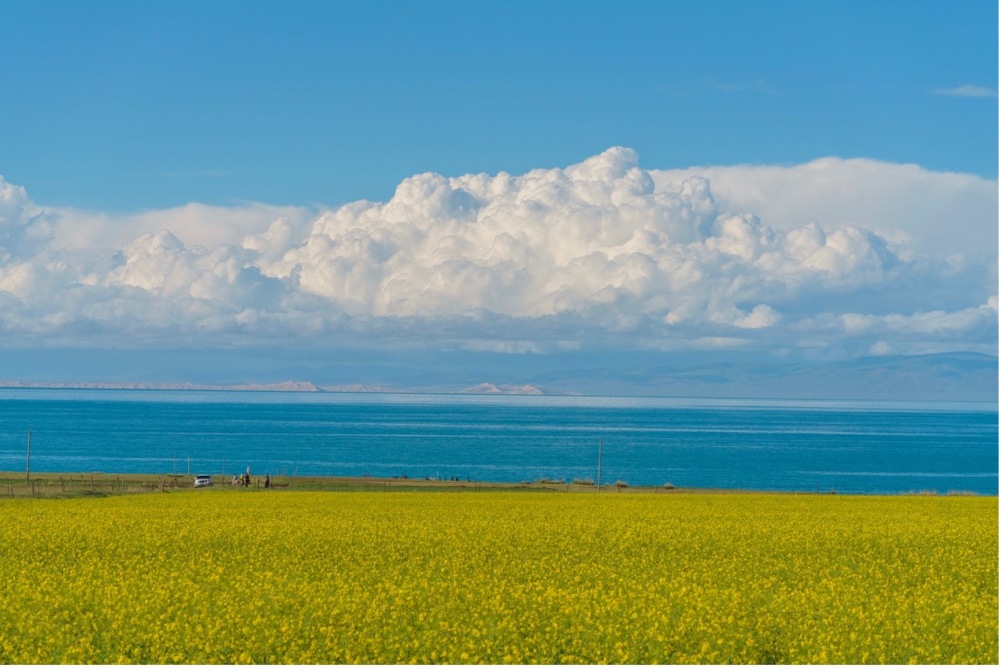 生態保護進み美しい景色広がる中国最大の内陸塩湖「青海湖」