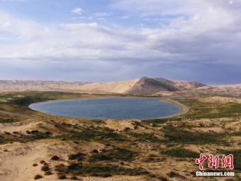 砂漠の緑化が進む青海湖沙島　生態系が著しく回復