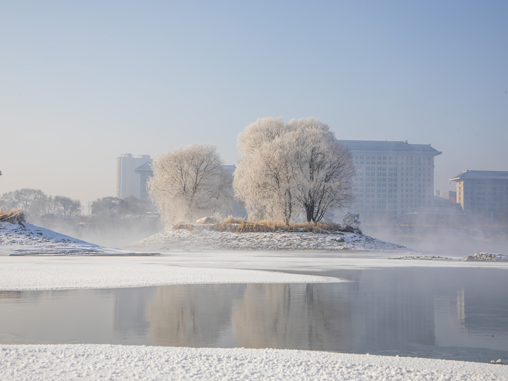 幻想的で美しい松花江河畔の霧氷　吉林省吉林市