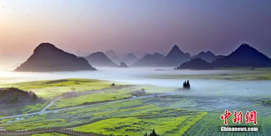 雲と霧に覆われた幻想的な菜の花畑　雲南省羅平
