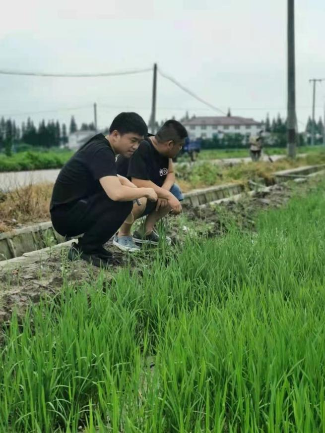 上海初のデジタル化無人農場、建設進む