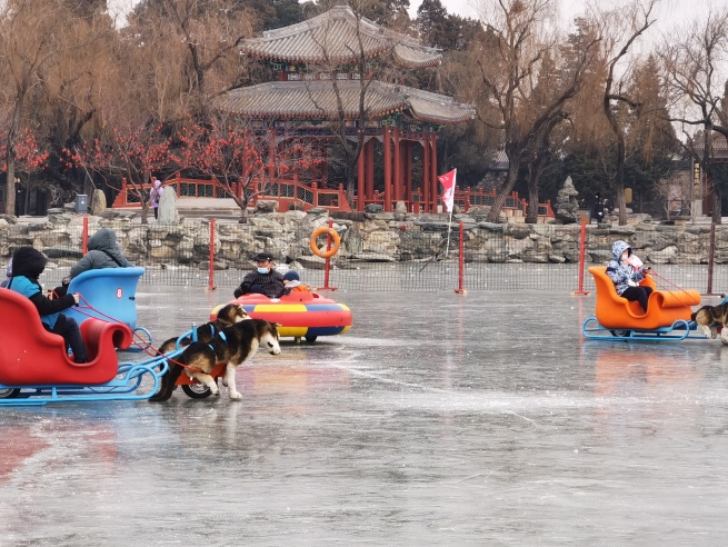 わくわくの春節を楽しもう！ 北京の天然スケート場