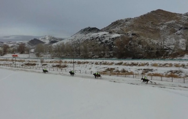 冬の風物詩　新疆アルタイ市で競馬祭りが開催