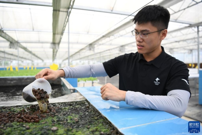 香港地区の若者3人が広東省で創設した野菜ファーム
