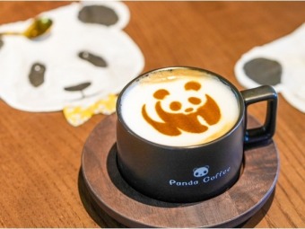 北京動物園にパンダのテーマカフェオープンへ