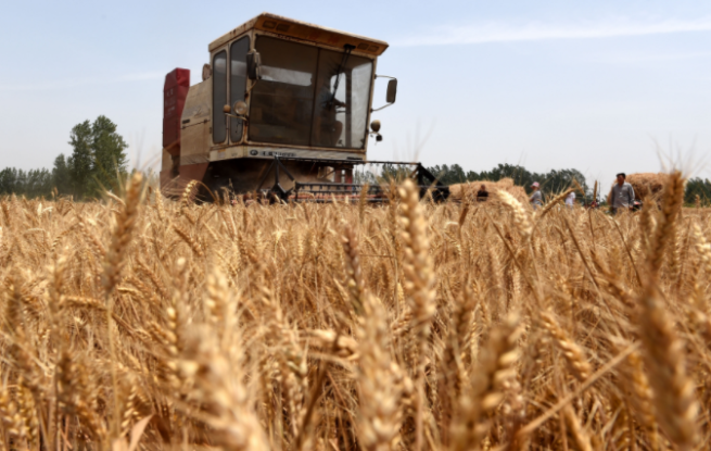 秋の収穫作業約9割完了　食糧増産がほぼ確実に