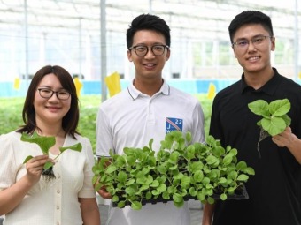 香港地区の若者3人が広東省で創設した野菜ファーム