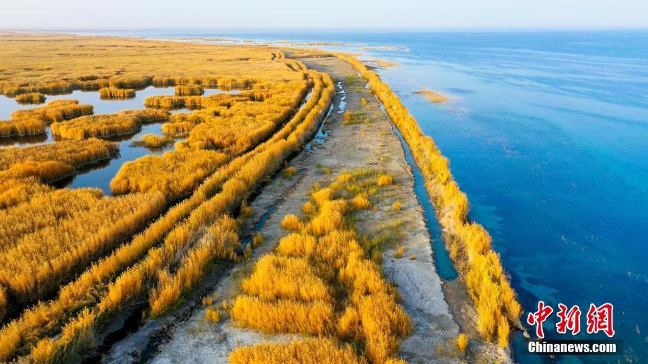 人々を魅了するボステン湖の秋景色　新疆