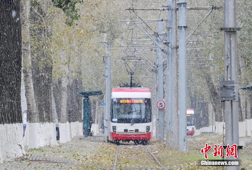 秋と冬、落葉と雪が同時に舞い散る吉林省長春
