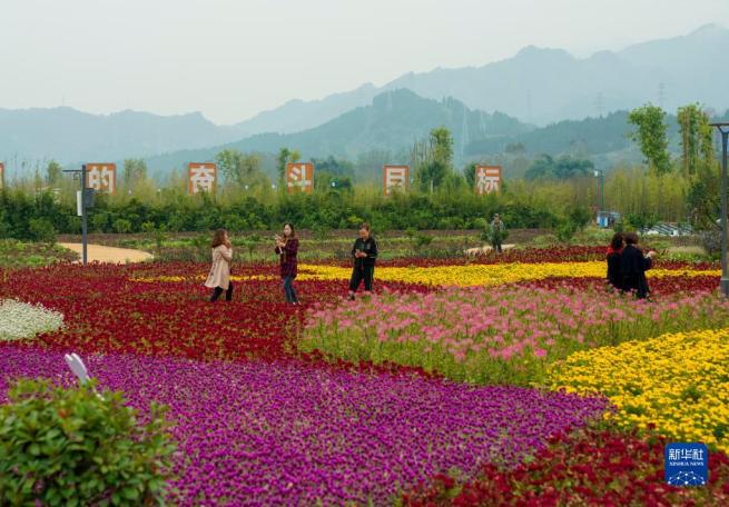 農村の住環境向上と産業発展を推進　中国重慶市