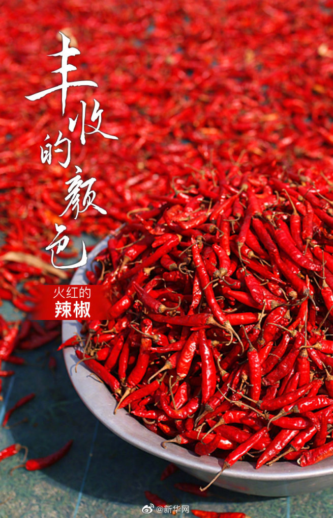 「中国農民豊作節」 多彩な色で味わう収穫の秋