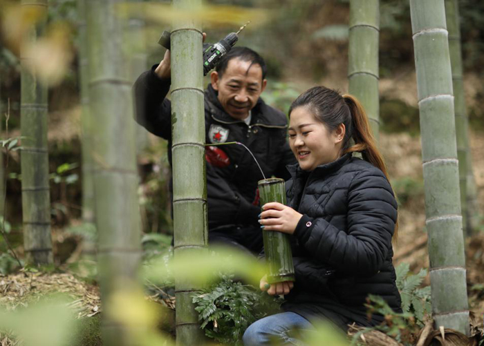 สาวจีนชนเผ่าเหมียวผลิตเหล้าไม้ไผ่นำชาวบ้านเพิ่มรายได้