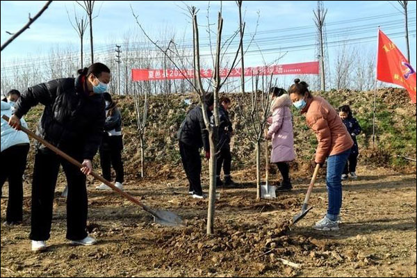 ประชาชนจีน 17.5 พันล้านคน ปลูกต้นไม้ด้วยความสมัครใจรวมกว่า 78 พันล้านต้น ในช่วง 40 ปีที่ผ่านมา